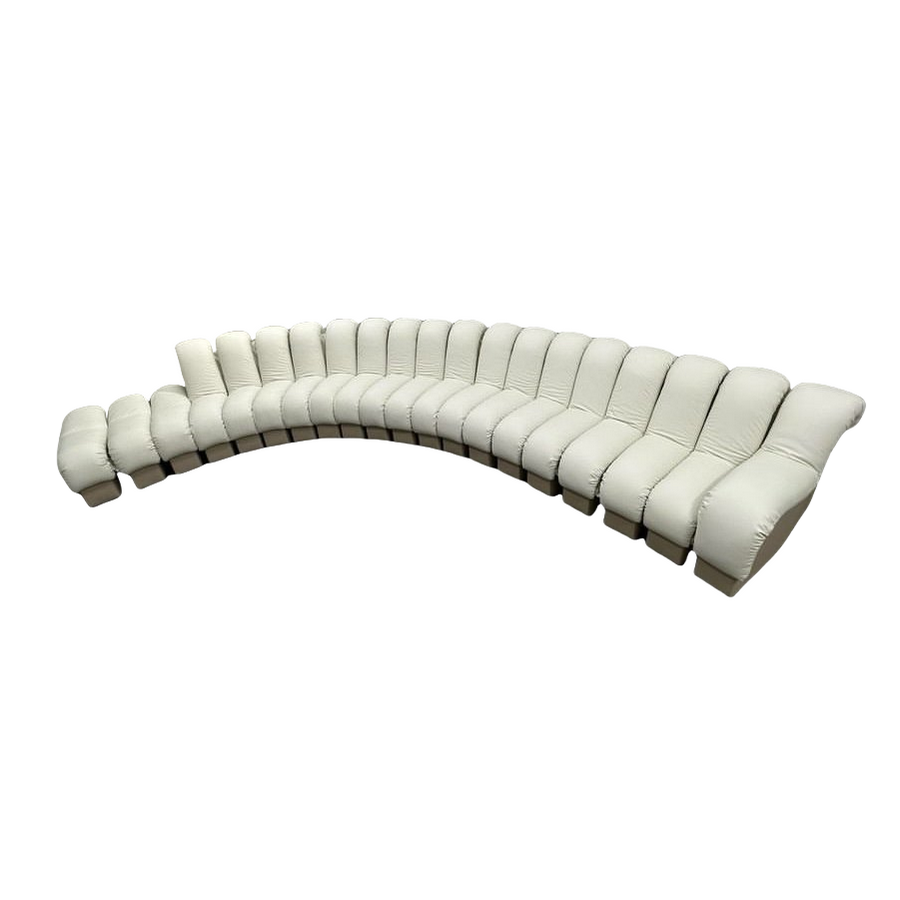 DS-600 Snake-Shape Modular Sofa - 图片 2