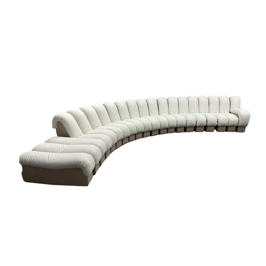 DS-600 Snake-Shape Modular Sofa - 图片 3