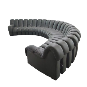 DS-600 Snake-Shape Modular Sofa