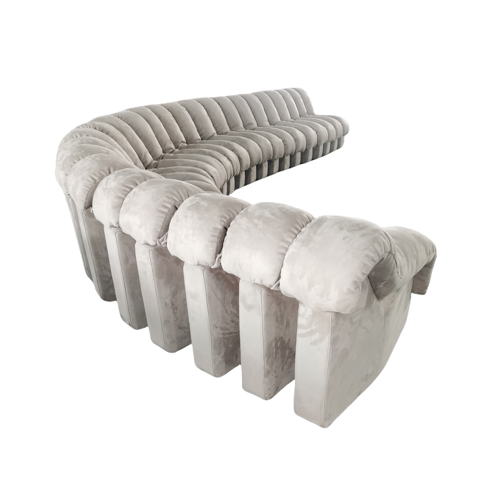 DS-600 Snake-Shape Modular Sofa - 图片 6